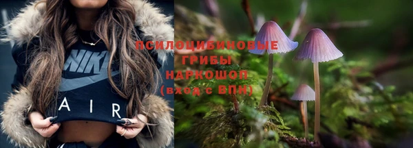 гашик Абинск
