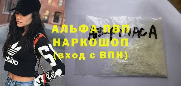 винт Абаза