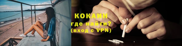 винт Абаза